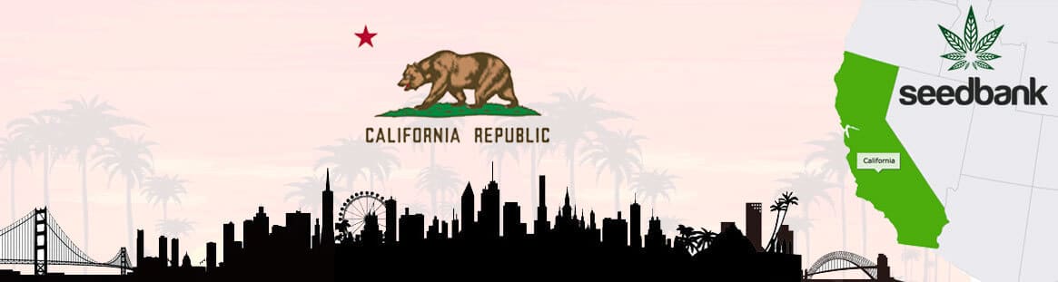 banque de graines de Californie graines de cannabis cali californie
