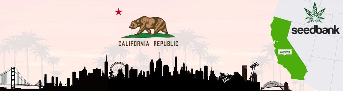 california seed bank cali cannabis seeds california