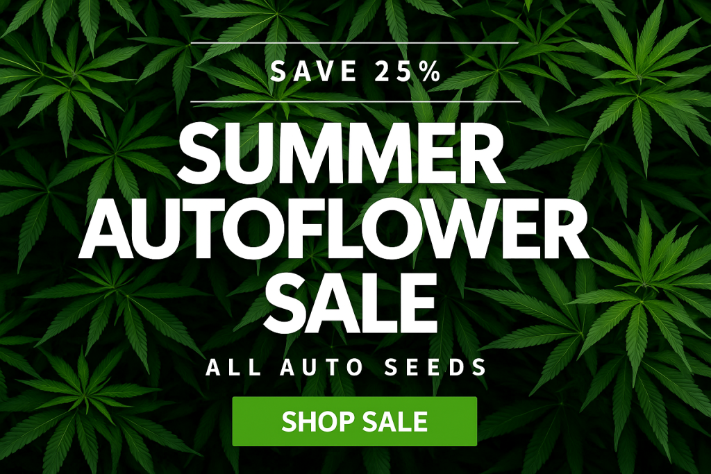 Sale Products 25 off autoflower seeds seedbank 1a summer sale 25 off auto and fast flowering seeds